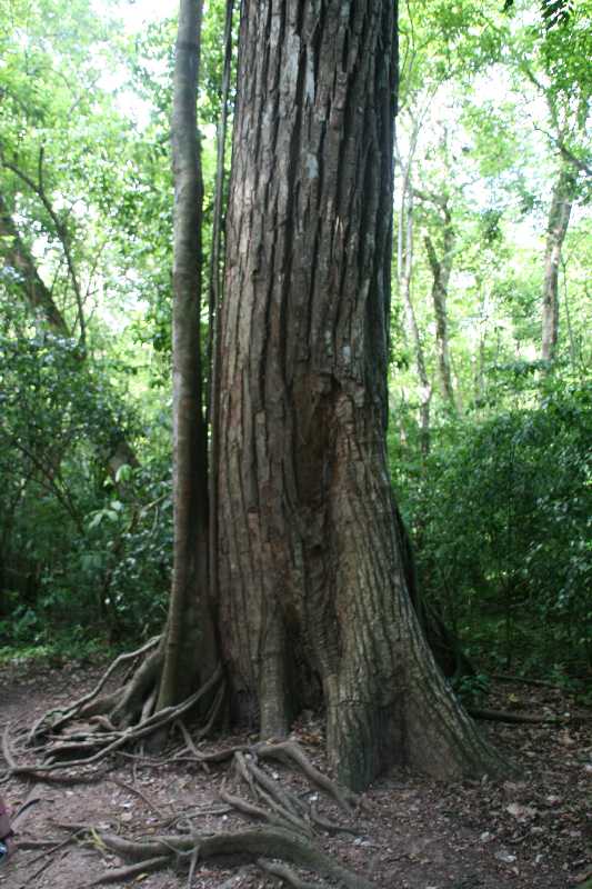 Mexico & Guatemala 2010 - 1076